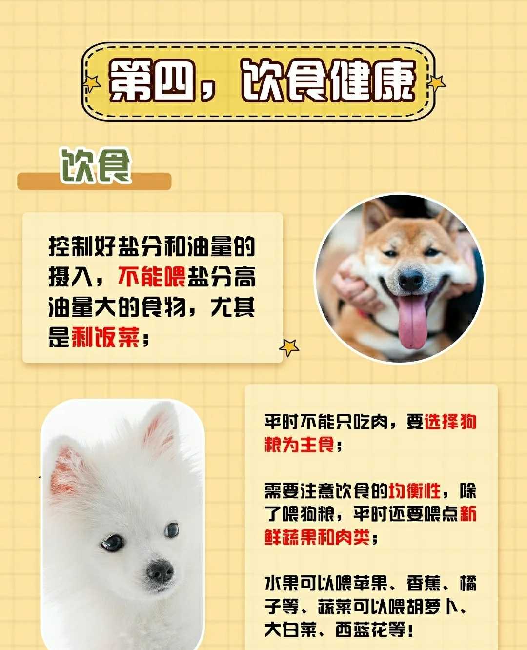 精品锤系德牧幼犬 锤系德国牧羊犬北京德牧犬舍